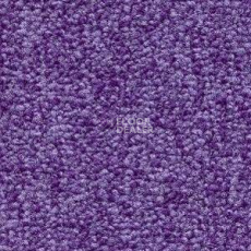 Ковролин Radici Trotter Viola 2421 фото 1 | FLOORDEALER